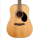 Acoustic Guitar