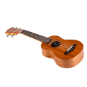 Ukulele Kit
